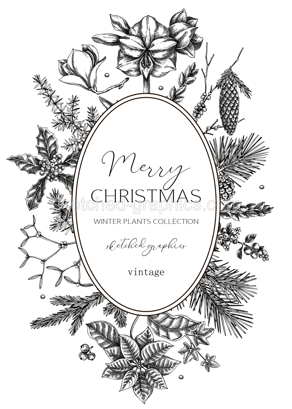 Vintage Christmas card design. Winter nature fwreath template. Conifer trees, winter flower sketches. Hand drawn vector illustration. NOT AI generated Illustration